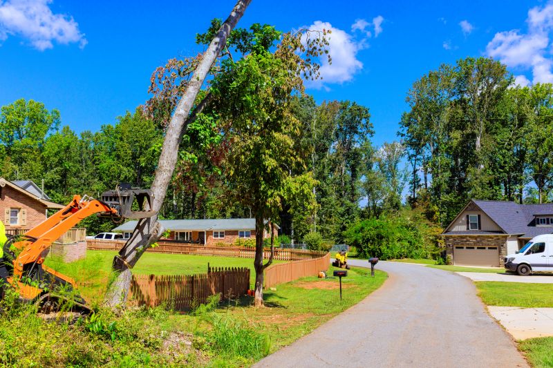 Dead Tree Removal in Pottstown, PA