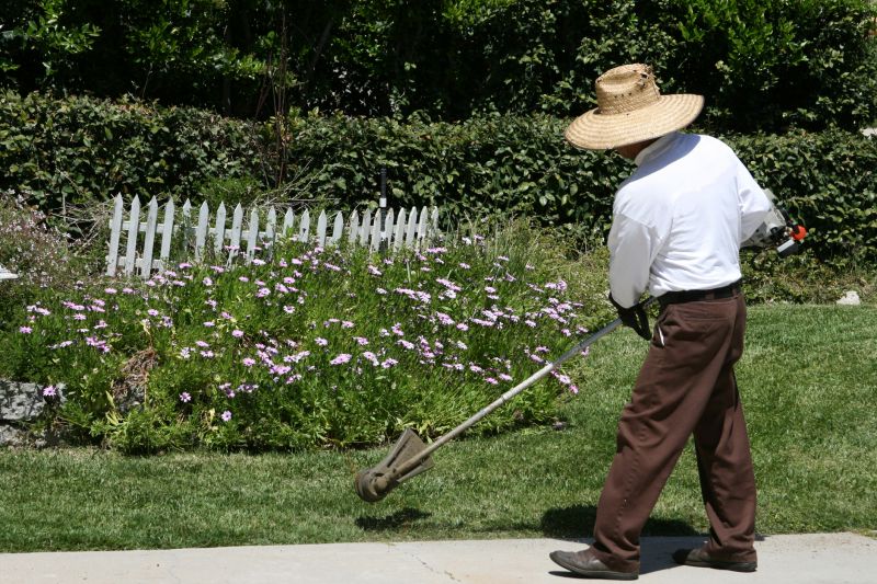 Perennial Trimming